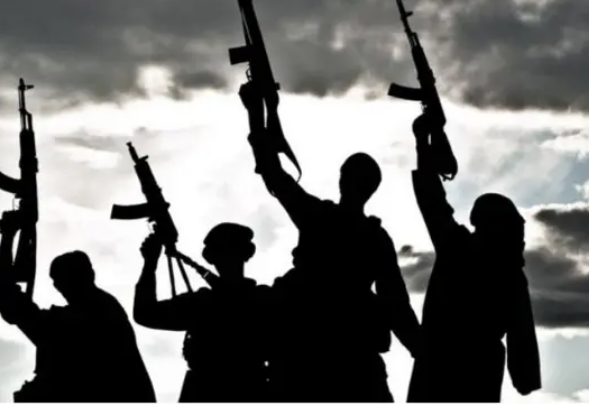 Night of Terror in Oyo: Gunmen Storm National Park Office as Fears Grow Over Fallen Personnel