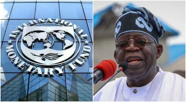 busterblog - IMF Urges Nigeria to Boost Tax Revenue: A Deep Dive into Economic Challenges