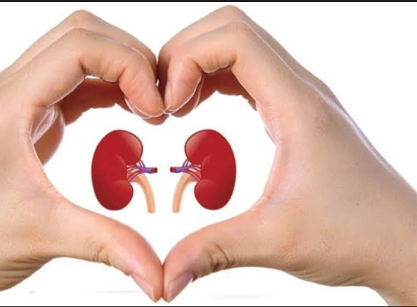 A Gift of Life That Turned to Tragedy: Young Pharmacist Reportedly Dies While Donating Kidney to Save Cousin