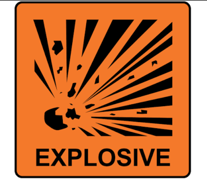 Flowers on the Surface, Fire Beneath: Nigerien Forces Foil Daring 200kg Explosives Smuggling Plot from Nigeria