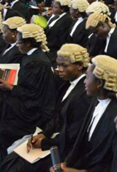 “Too Small for You?” Nigerian Lawyers Speak Out on the Silent Disrespect from Family and Friends