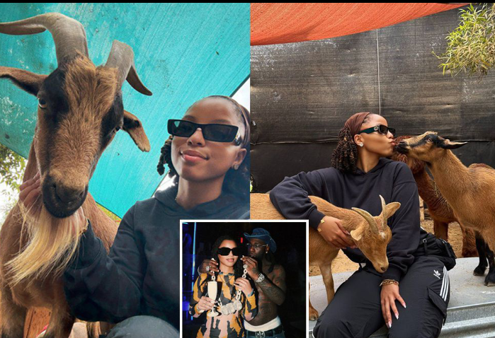 busterblog - Chloe Bailey Stirs Buzz as She Declares She Only Hangs Out with GOATs Amid Burna Boy Romance Rumors