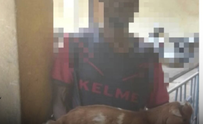 Teen Sentenced Over Stolen Pregnant Goat Sparks Debate on Justice and Survival in Kaduna