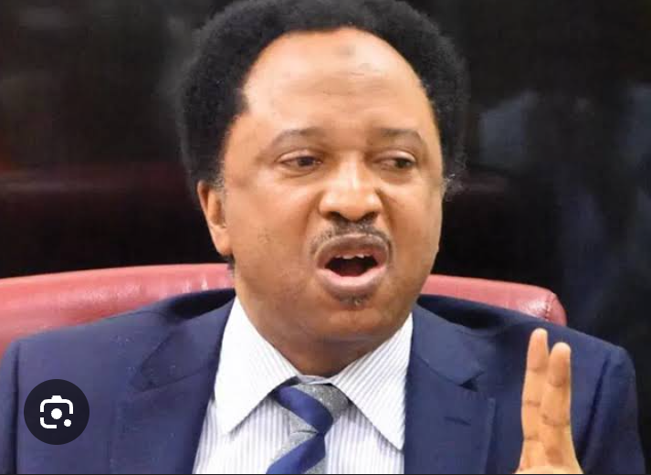 Fela Kuti’s Legacy: Senator Shehu Sani Declares Afrobeat Icon Incomparable