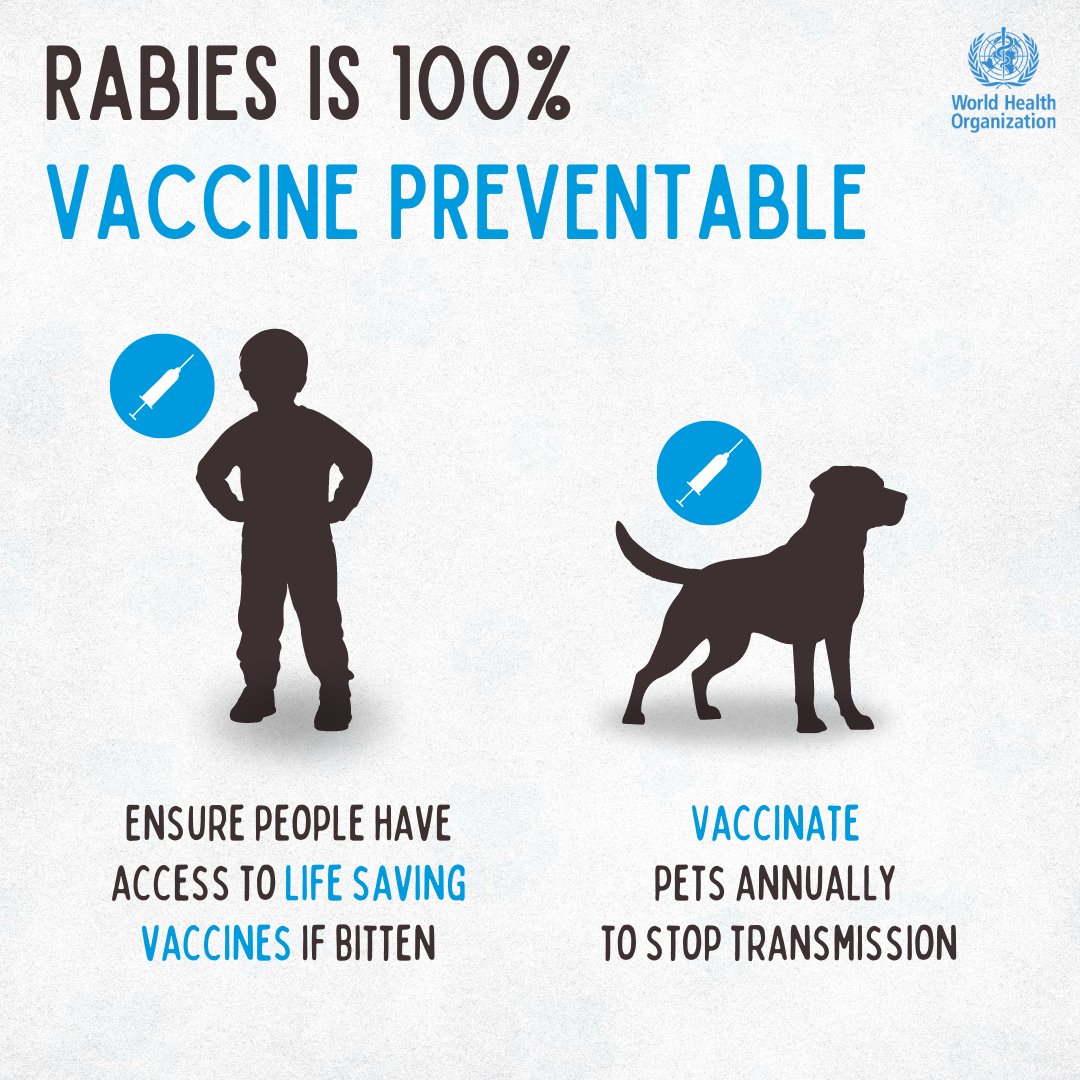 Silent Killer: How Rabies Claims a Life Every Nine Minutes Despite Being 100% Preventable