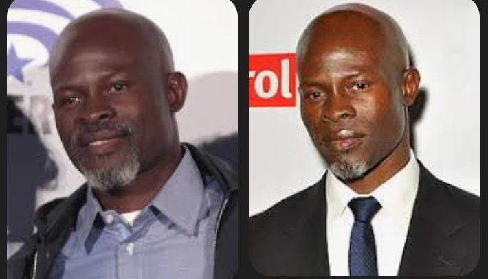 Hollywood Star Djimon Hounsou Files Police Complaint as Ex-Partner Is Arrested Over Alleged Altercation in Atlanta