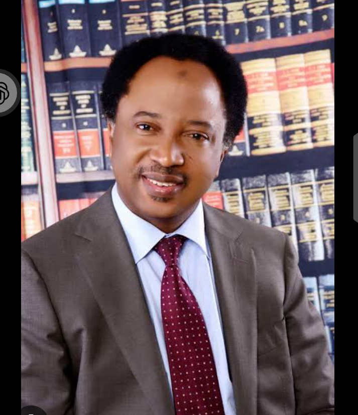 “They Can Strike, But They Can’t Save Us”: Shehu Sani’s Warning as Nigeria Debates U.S. Military Involvement