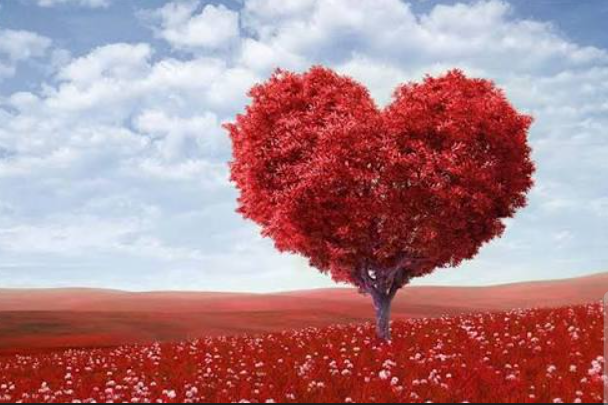 Valentine’s Day Sparks Relationship Debate After Fiery Exchange Goes Viral