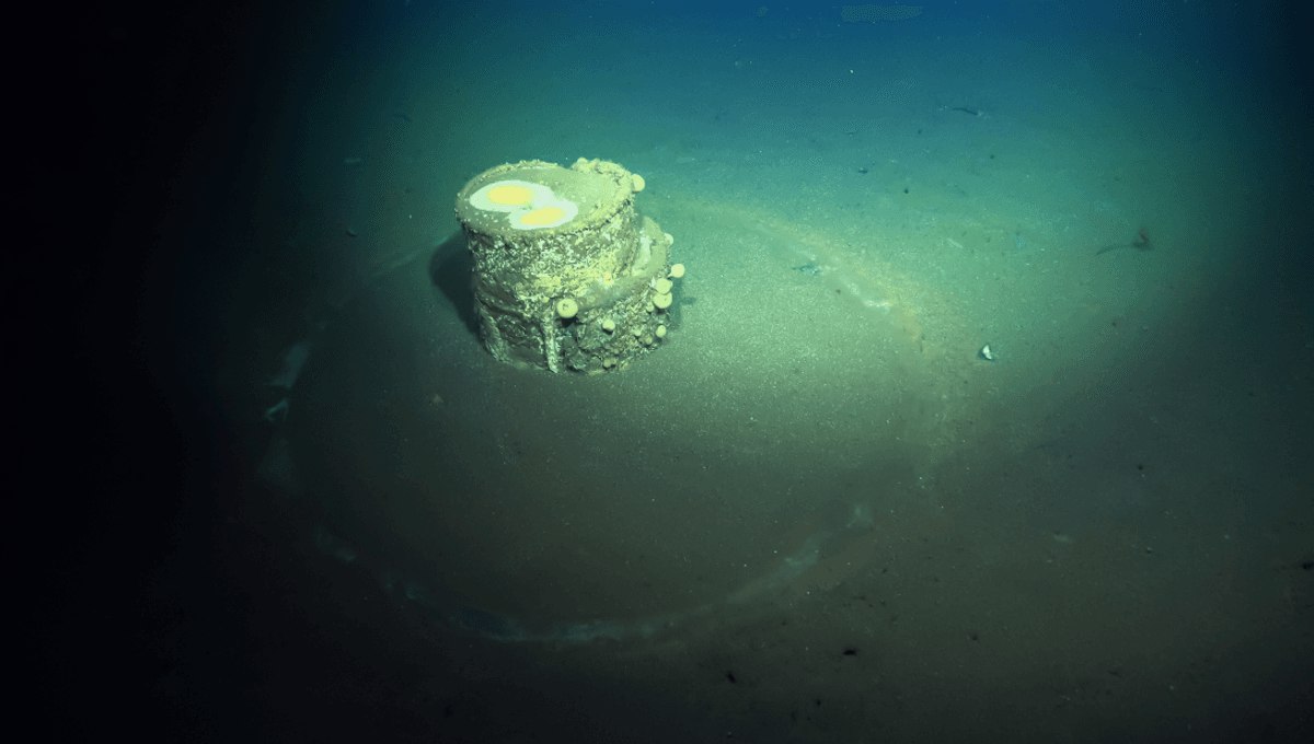 Ghostly Halos Discovered Around Toxic Barrels Off Los Angeles Coast