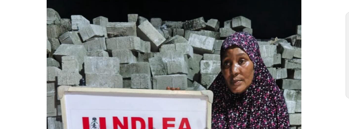 Fake Baby Bump Bust: NDLEA Arrests Businesswoman With 3,200 Tramadol Capsules at Border Crossing