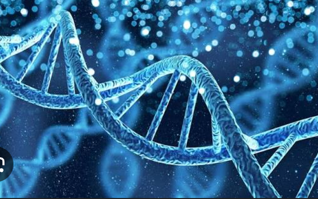 When Love Meets Science: How a Hidden Immune Condition Nearly Cost a Couple Their Dream of Parenthood