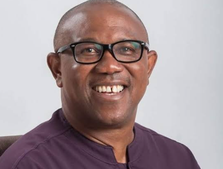 busterblog - “Worse Than All of Them Combined” — Peter Obi Slams Tinubu’s Borrowing Spree