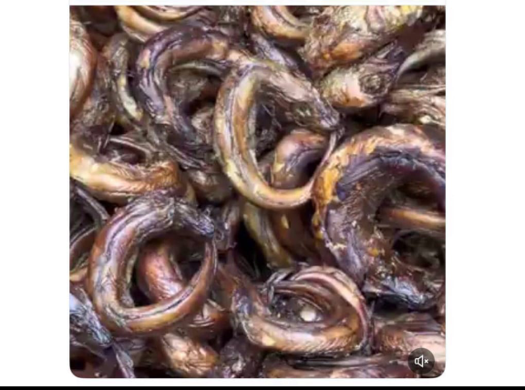 “A Meal or a Marker? Media Personality Bayomi Sparks Class Debate After Calling Smoked Hake ‘Food of Poverty’”