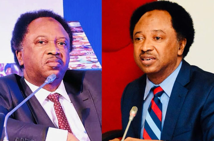 busterblog - Senator Shehu Sani Criticizes Proposed Bill to Jail Non-Voters, Calls It Unnecessary