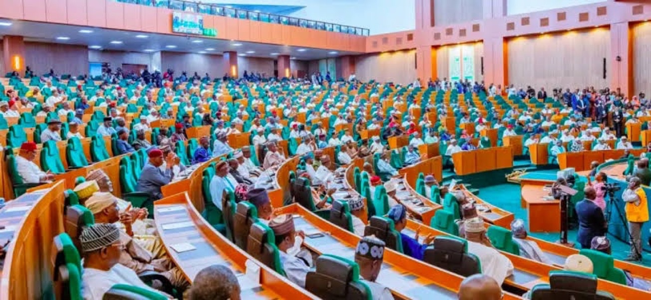 busterblog - House of Representatives Propose N3,500 Daily Wage for Unskilled Labour to Boost Rural Economy