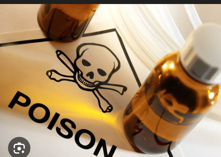 Shocking Revelations: Wildlife Enthusiast Claims Some Men Are Secretly Poisoned by Their Wives