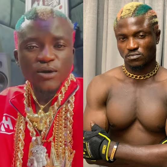 busterblog - Portable Places ₦500,000 Bounty on Impersonator as Fake “Zazu” Performance Sparks Online Frenzy