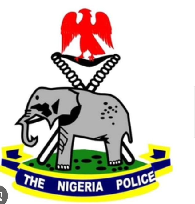 Phones or Pain: Outrage as Video Shows Rivers Police Allegedly Harassing and Assaulting Young Men