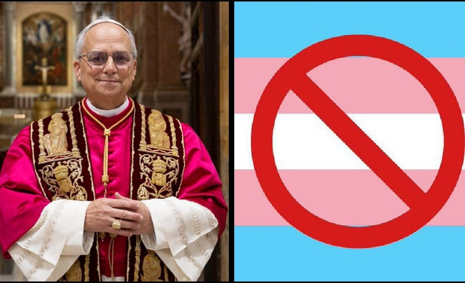 Pope Leo XIV Upholds Catholic Teachings on Marriage and the Sanctity of Life, Kicks Against LGBTQ Agenda