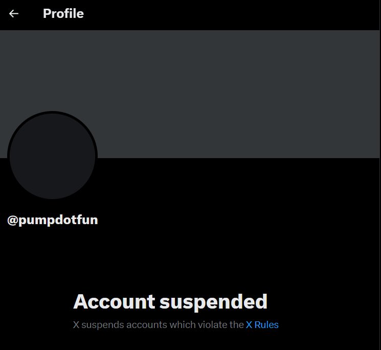 busterblog - Crypto Carnival Crashes: Pump.fun Founder Suspended from X Over “Excessive Liquidity Extraction” Allegations