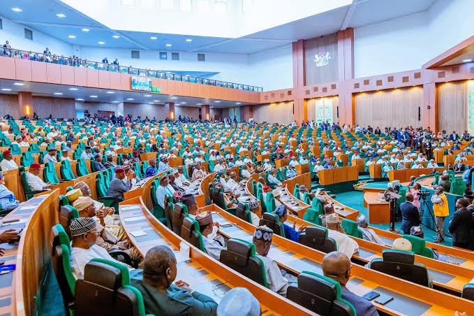 House of Representatives Urges Professional Training and Regulation of Vigilante Groups to Curb Jungle Justice and Lawlessness