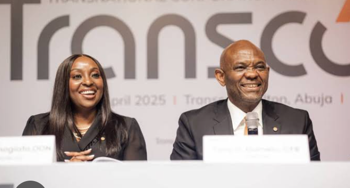 Power on the Brink: Tony Elumelu Urges Tinubu to Avert National Blackout Over Mounting GENCO Debts