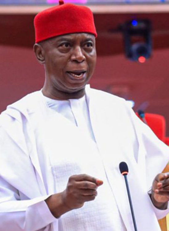 Digital Wildfire: Ned Nwoko Slams Tiktoker’s Apology as He Renews Calls for Strict Social Media Regulation