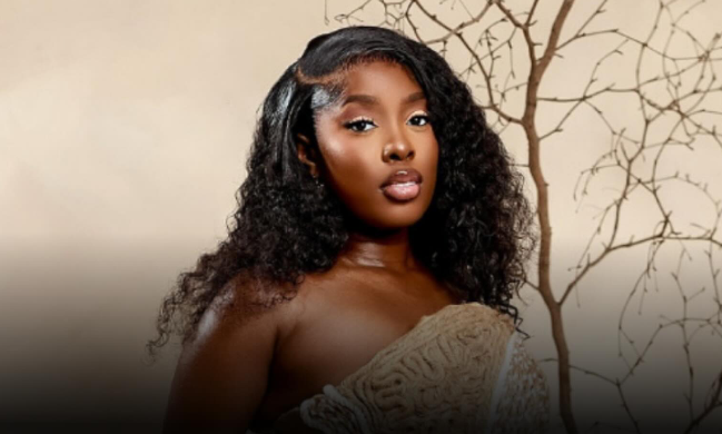 “Nigerian Food Abroad Sometimes Hits Different, Miss Demz Sparks Heated Debate”