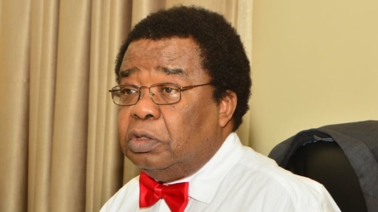 Christian Genocide Claim Unjustified, Could Trigger Travel Restrictions Against Nigerians — Bolaji Akinyemi Warns