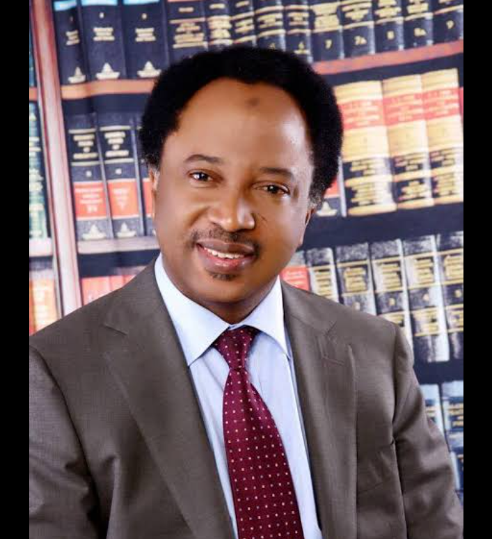 busterblog - “Send Them to Sambisa” — Shehu Sani’s Fiery Comment Ignites Fresh Debate on How Nigeria Should Confront Terrorism