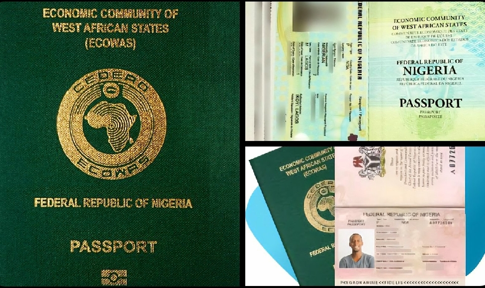 JUST IN: Nigerian Passport Renewal Now Costs ₦100,000 and ₦200,000 from September 1