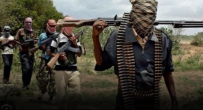 Midnight Strike in Borno: Nigerian Troops Deal Heavy Blow to Insurgents, Rescue Kidnapped Civilians