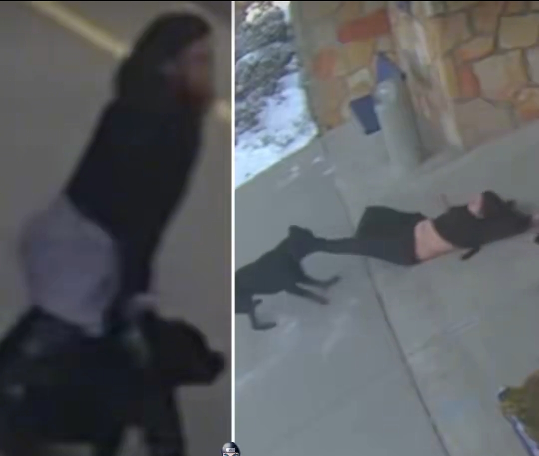Mother Mauled by Loose Dog Outside Ohio Elementary School in Terrifying Morning Attack Caught on Camera